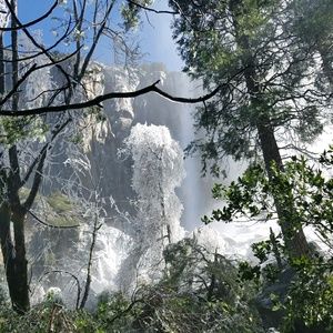 Meet your Posher, Belen